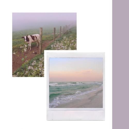 Omegavers au, где хёнджин уезжает учится за границу оставляя своего омегу одного. 01 Omegavers au, где хёнджин уезжает учится за границу оставляя своего омегу одного. 01