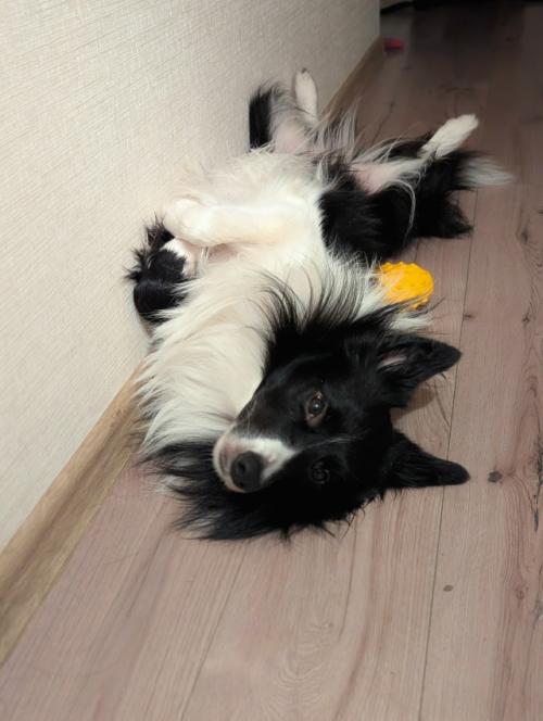 С одной стороны, кажется, что мы много работаем, но если посмотреть только на статистику за неделю, то как будто бы этого недостаточно. 
