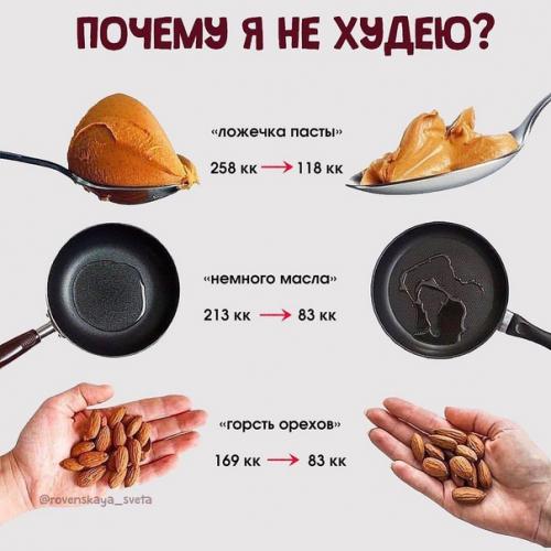 Дробное питание не поможет похудеть! 06