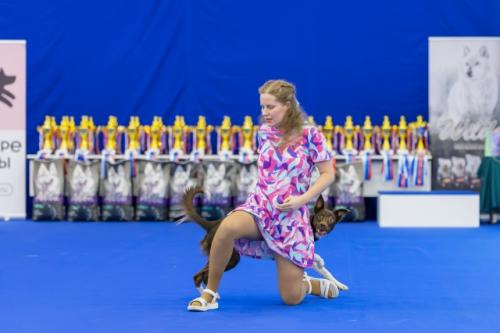 Таким образом, если успехи дают заряд радости и мотивации, то провалы приводят к различным инсайтам. 01