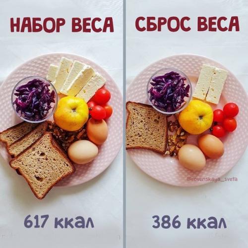 Дробное питание не поможет похудеть! 07