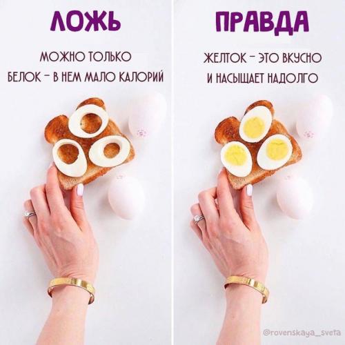 Дробное питание не поможет похудеть! 08