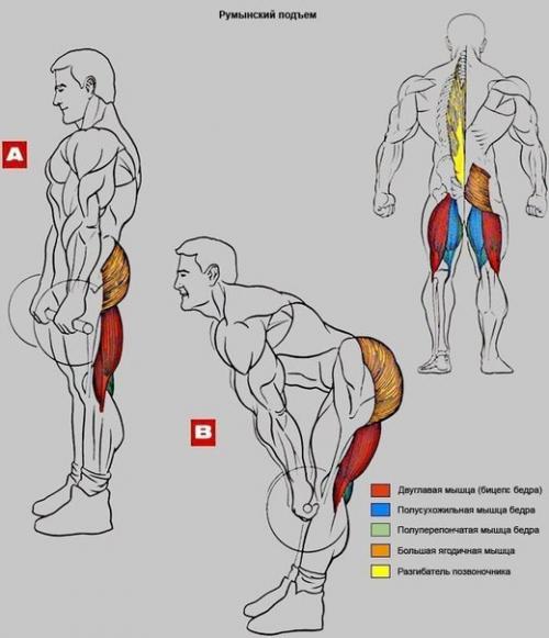 Упражнения на бедро - ягодицы. 02 Упражнения на бедро - ягодицы. 02