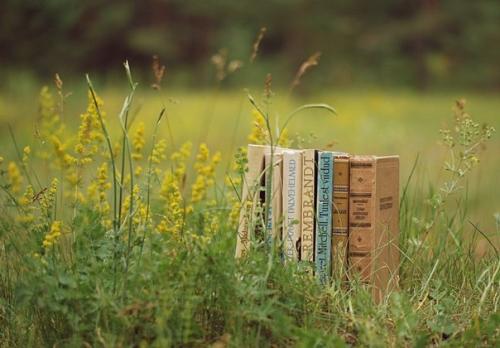 Мотивирующие книги для похудения. 01 Мотивирующие книги для похудения. 01