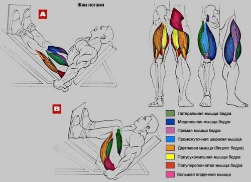 Упражнения на бедро - ягодицы. 01 Упражнения на бедро - ягодицы. 01