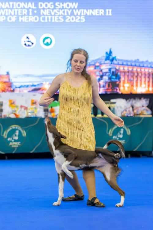 Таким образом, если успехи дают заряд радости и мотивации, то провалы приводят к различным инсайтам. 
