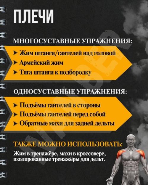 Основные упражнения: почему База и изоляция - устаревшие термины? 04