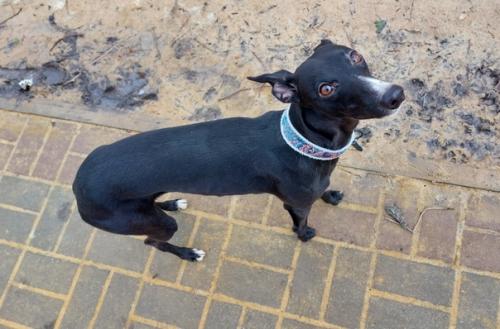 Немного из вчерашнего. 03 Немного из вчерашнего. 03