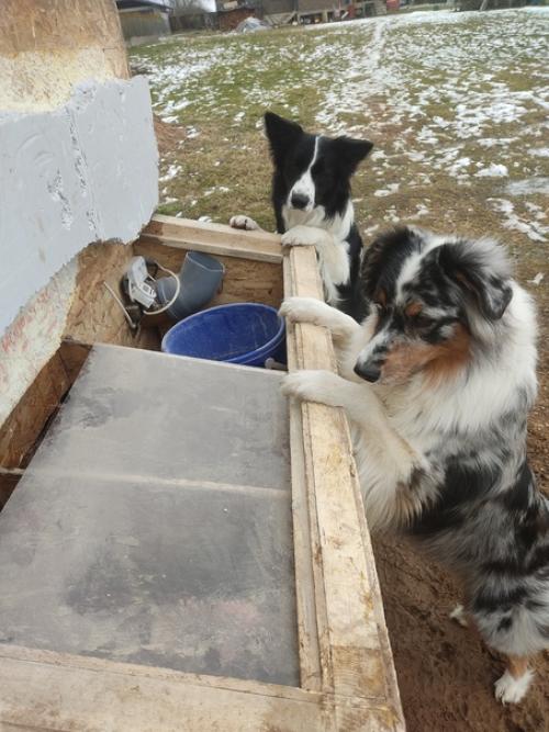 Особо ничего не происходит, зимняя спячка так и продолжается. 04