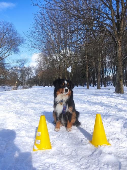 Особо ничего не происходит, зимняя спячка так и продолжается. 03