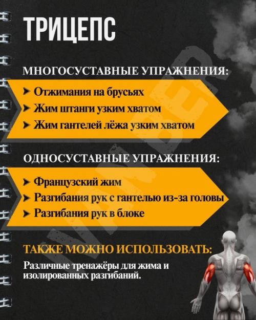 Основные упражнения: почему База и изоляция - устаревшие термины? 06 Основные упражнения: почему База и изоляция - устаревшие термины? 06