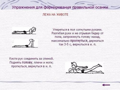 Упражнения от сутулости - красивая осанка у взрослых и детей! 03