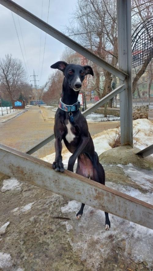 Немного из вчерашнего. 01 Немного из вчерашнего. 01