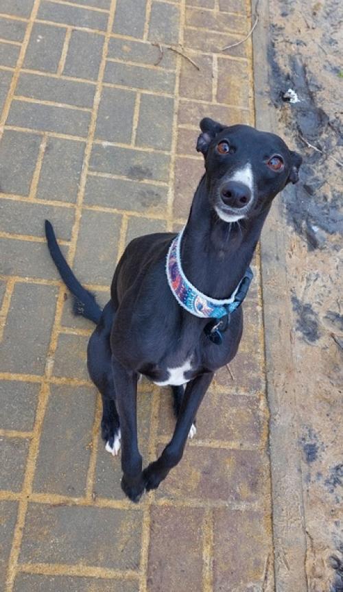 Немного из вчерашнего. 02 Немного из вчерашнего. 02