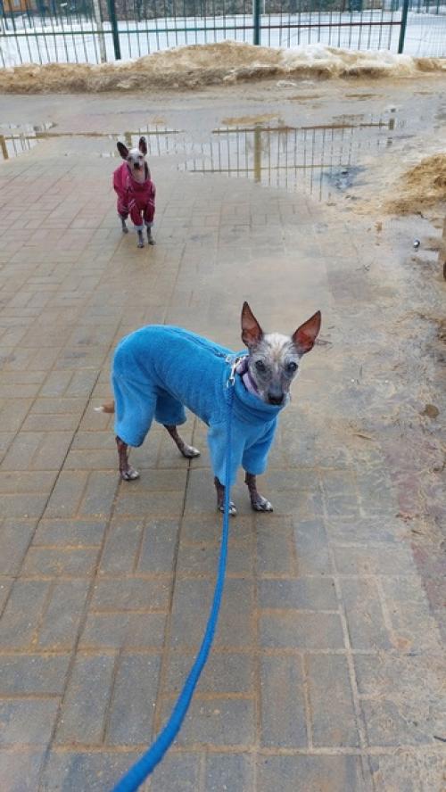 Немного из вчерашнего. 05 Немного из вчерашнего. 05