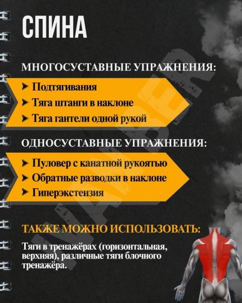 Основные упражнения: почему База и изоляция - устаревшие термины? 02