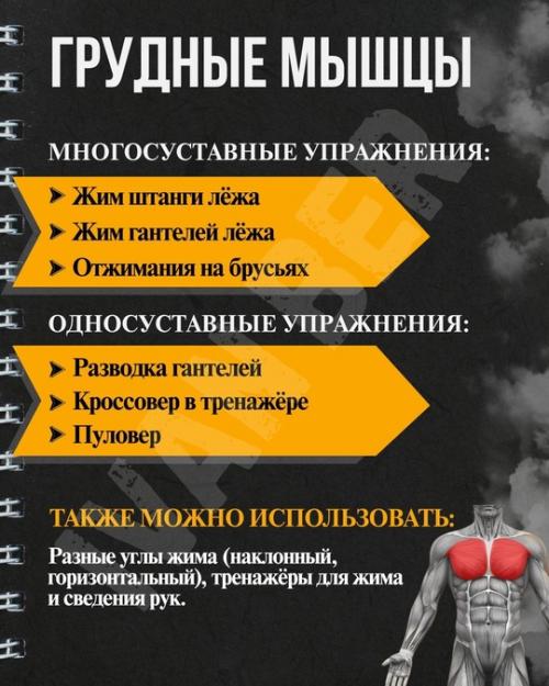 Основные упражнения: почему База и изоляция - устаревшие термины? 01