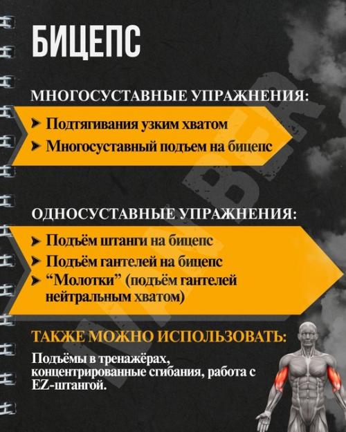 Основные упражнения: почему База и изоляция - устаревшие термины? 05