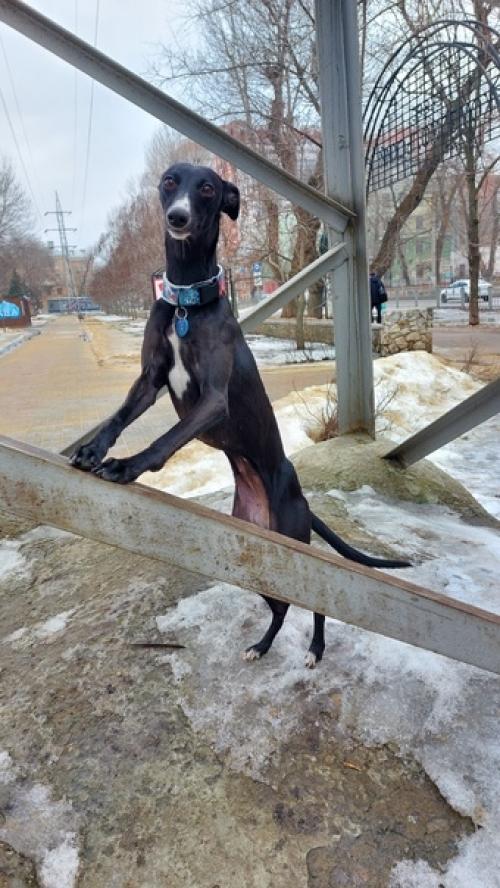 Немного из вчерашнего. 04 Немного из вчерашнего. 04