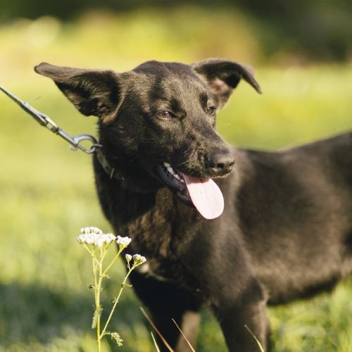 Люся - современная независимая барышня с активной жизненной позицией! 06