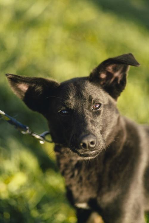 Люся - современная независимая барышня с активной жизненной позицией! 01