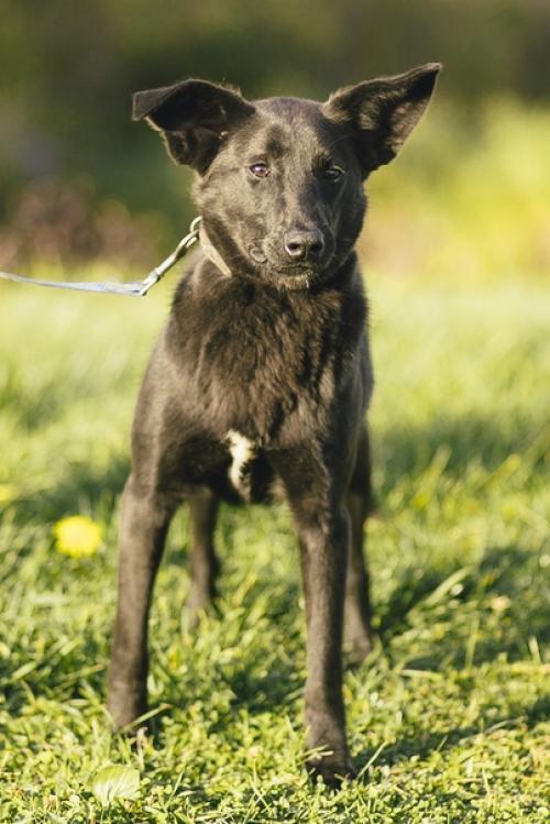 Люся - современная независимая барышня с активной жизненной позицией! 03
