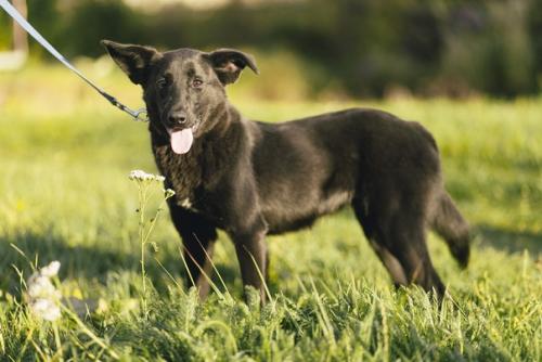 Люся - современная независимая барышня с активной жизненной позицией! 02