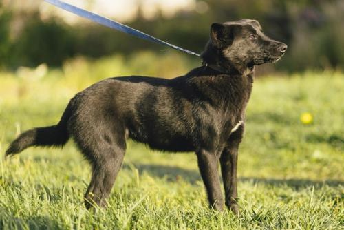 Люся - современная независимая барышня с активной жизненной позицией! 05