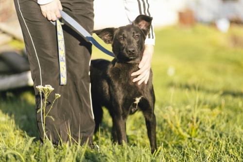 Люся - современная независимая барышня с активной жизненной позицией! 07