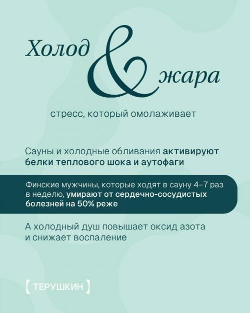 5 неочевидных вещей, которые реально продлевают жизнь. 04