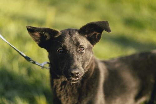 Люся - современная независимая барышня с активной жизненной позицией! 04