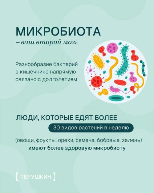 5 неочевидных вещей, которые реально продлевают жизнь. 05