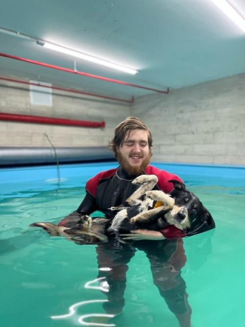 На этой неделе у собак был бассейн в понедельник. 01