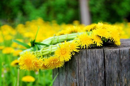 Перестаньте, девочки и мальчики, воевать за торжество идей. 04