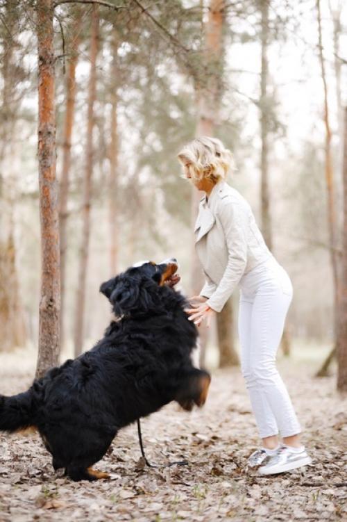 Как вам идея фитнес тура с собаками? 01