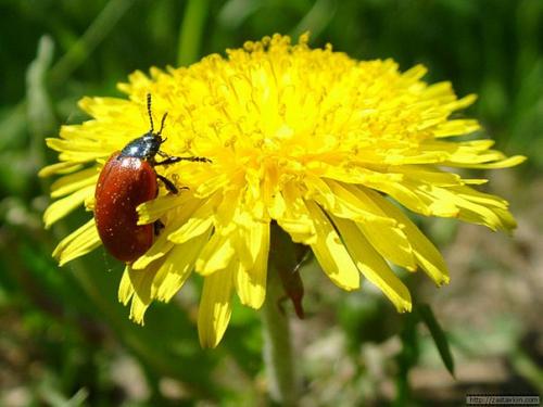 Перестаньте, девочки и мальчики, воевать за торжество идей. 02