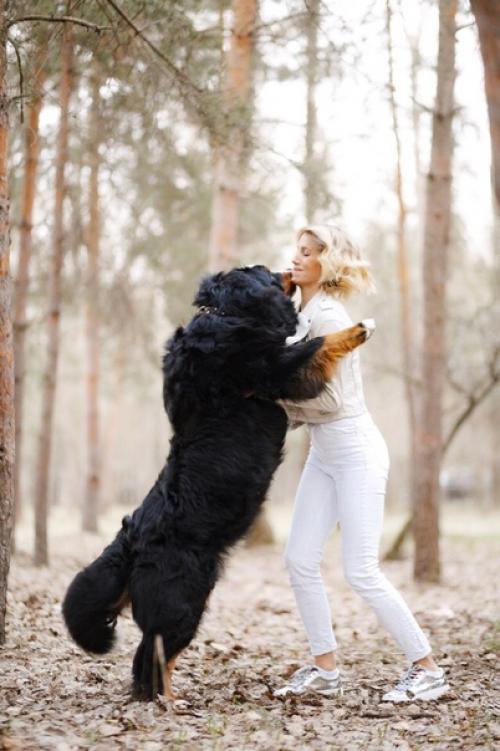 Как вам идея фитнес тура с собаками? 02