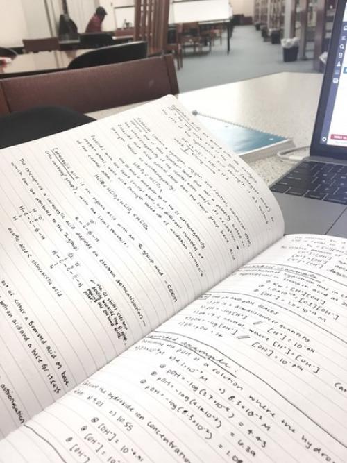 7 требований как и чем повысить иммунитет. 01