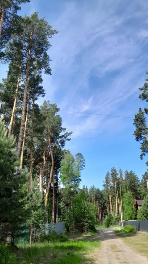 Ваш новый фитнес - старт: простые советы для успеха. 01