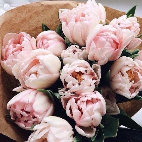 Мы поздравляем!  Поздравляем! 01