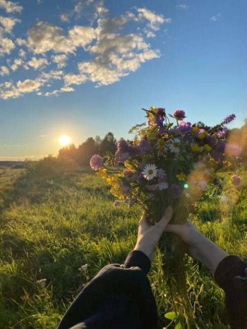 И начинается 90 дней лета. 01