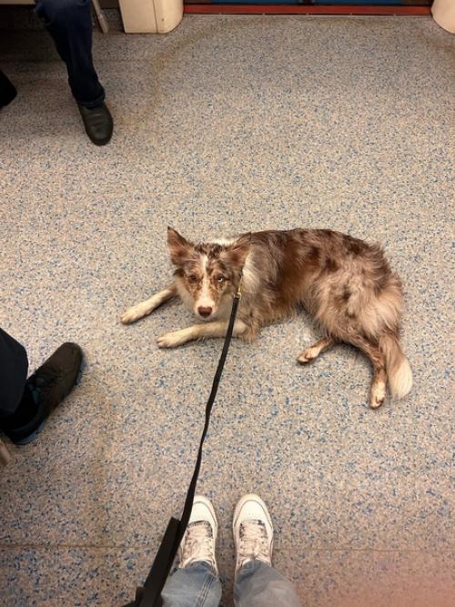 Повторный прием у реабилитолога. 01 Повторный прием у реабилитолога. 01