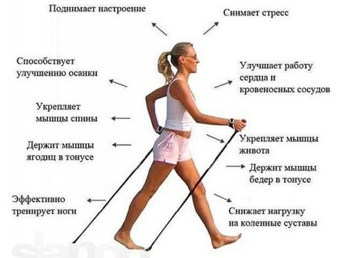 Скандинавская ходьба. Скандинавская ходьба - это не развлечение, а вполне серьезный вид фитнеса для укрепления здоровья и для похудения. 01 Скандинавская ходьба. Скандинавская ходьба - это не развлечение, а вполне серьезный вид фитнеса для укрепления здоровья и для похудения. 01