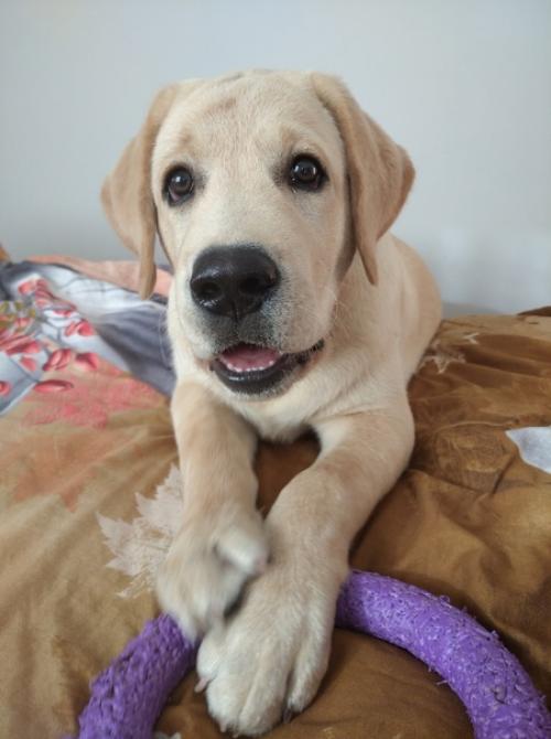 Доброе утро!  Хочу вас познакомить с моим новым ребенком. 07