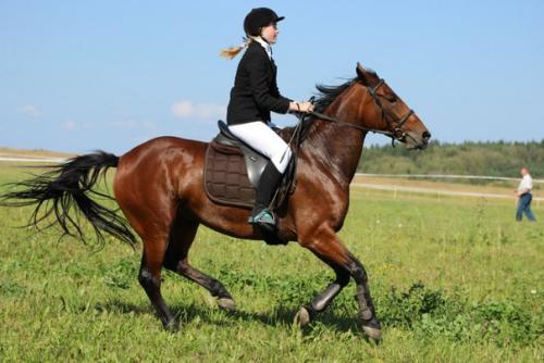 Девушка конник. "Если Ваша Девушка - Конник" (c).