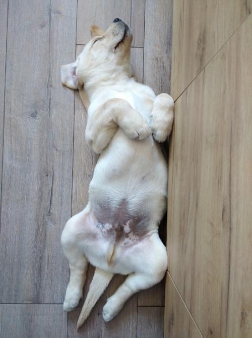 Доброе утро!  Хочу вас познакомить с моим новым ребенком. 01