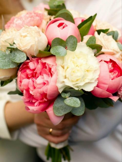 Эпизод 481.  Новый статус. 03