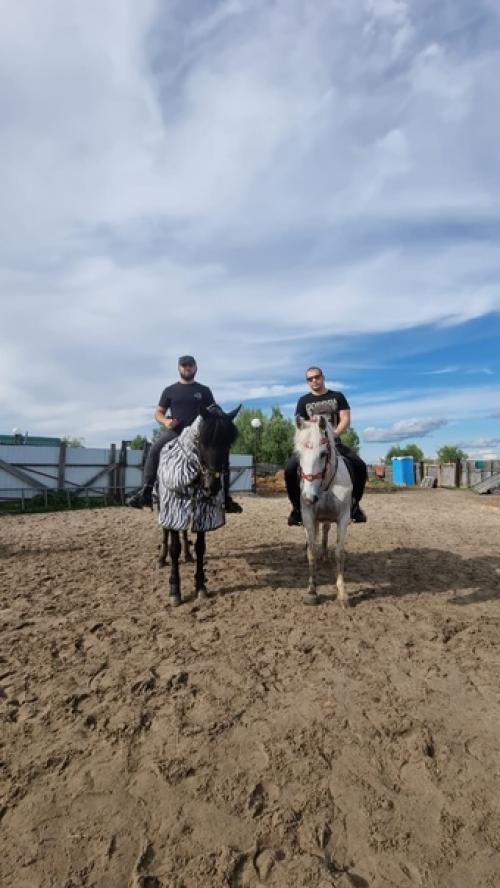 Влияние верховой езды на мужское здоровье. 05 Влияние верховой езды на мужское здоровье. 05