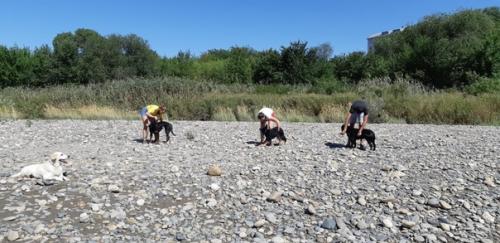 Приятное с полезным. 01