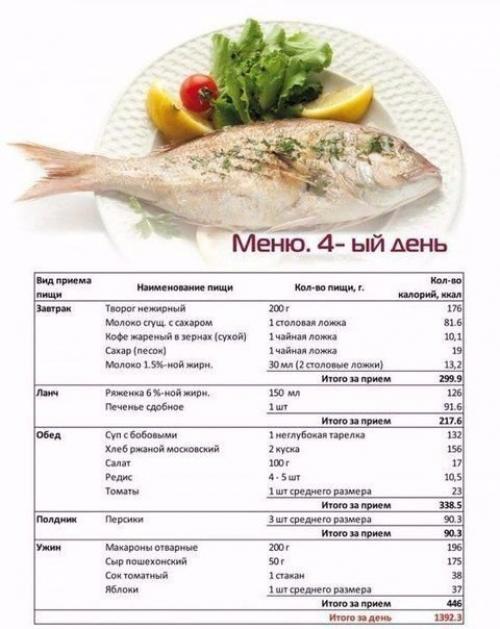 Дневная программа питания для похудения? 03